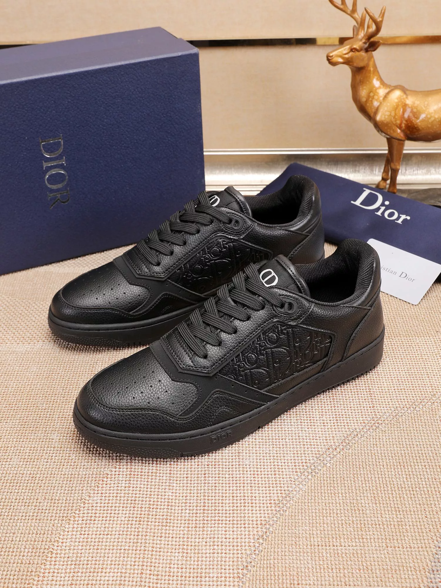 Functional 2534 Christian Dior Casual Shoes For Men