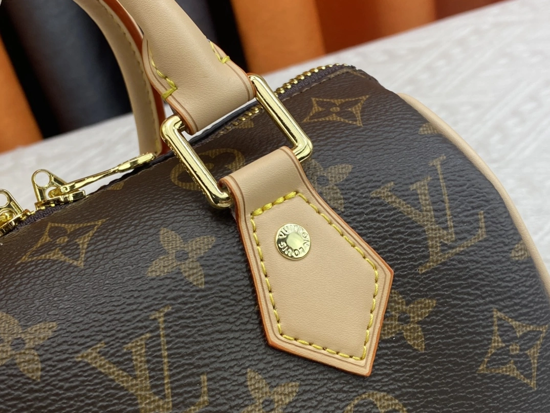 Functional 2755 Louis Vuitton AAA Quality Handbags For Women