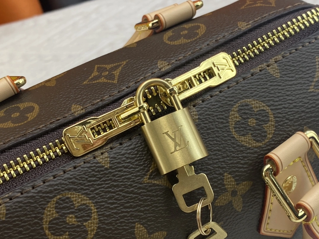 Functional 2755 Louis Vuitton AAA Quality Handbags For Women