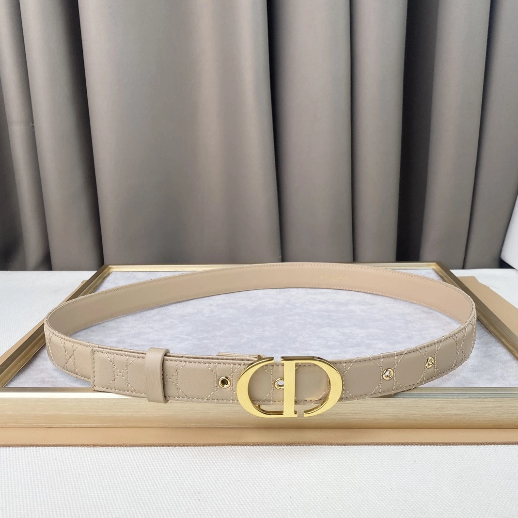 Functional 3513 Christian Dior AAA Quality Belts For Women
