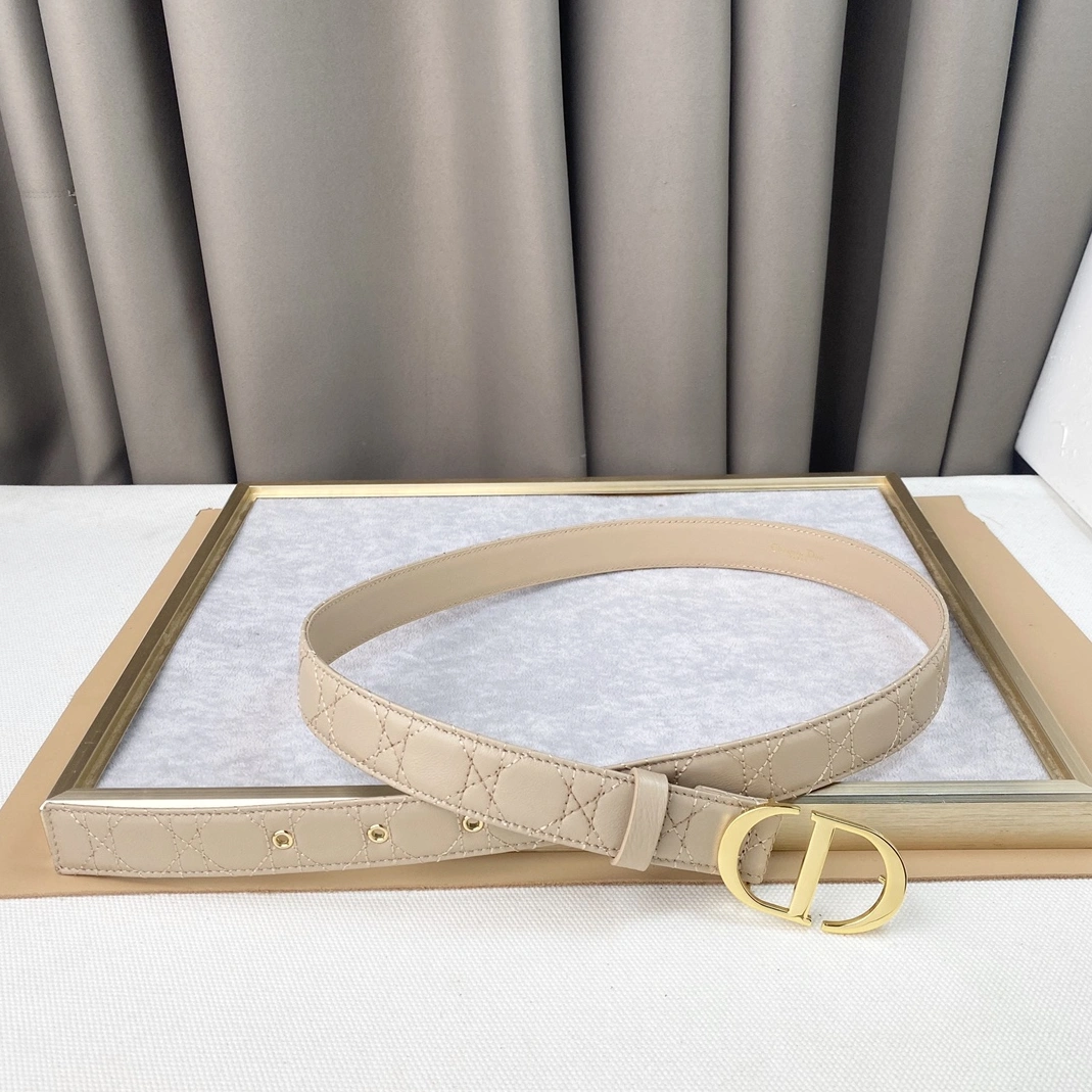 Functional 3513 Christian Dior AAA Quality Belts For Women