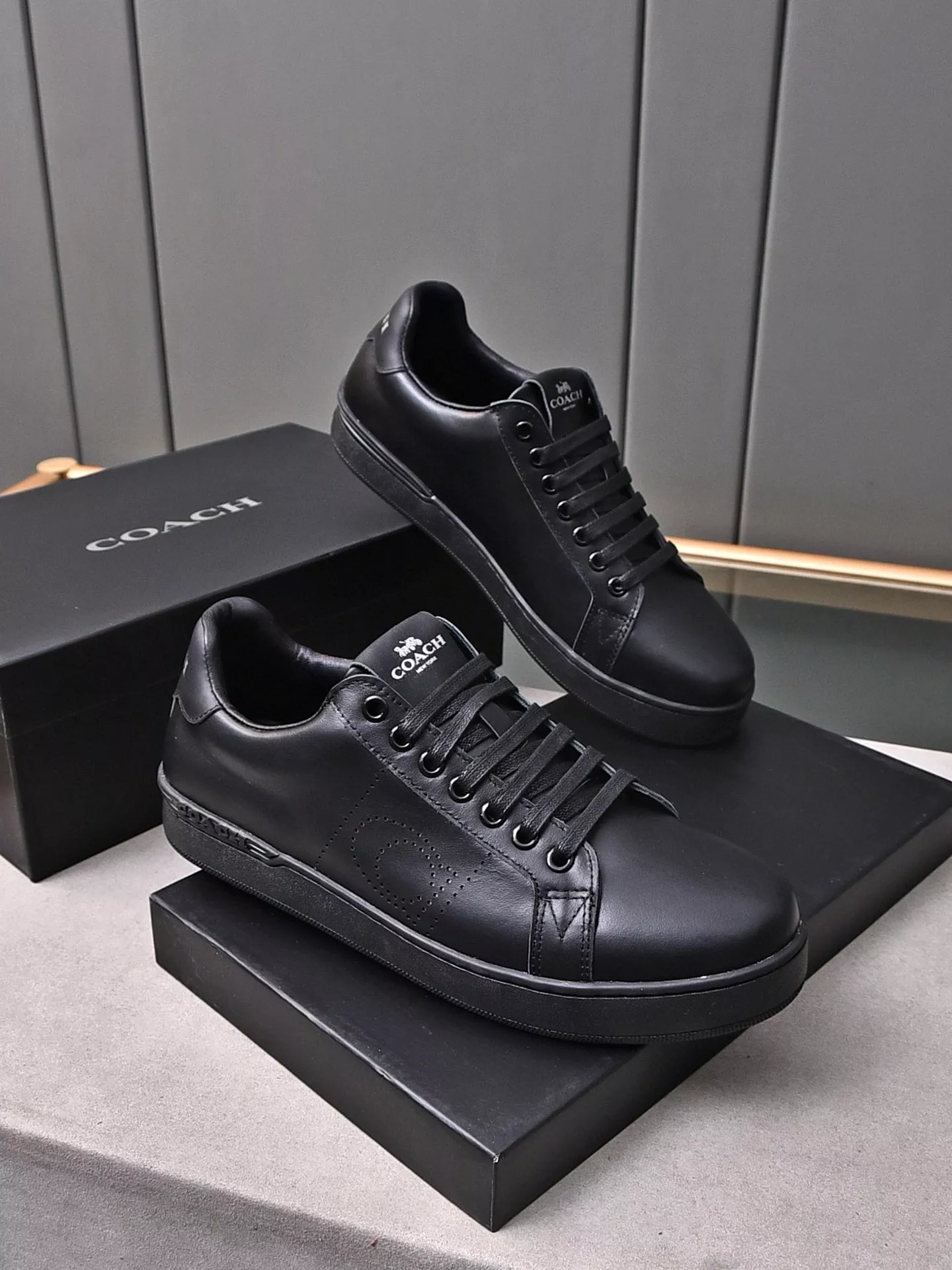 Functional 3627 Coach Fashion Shoes For Men