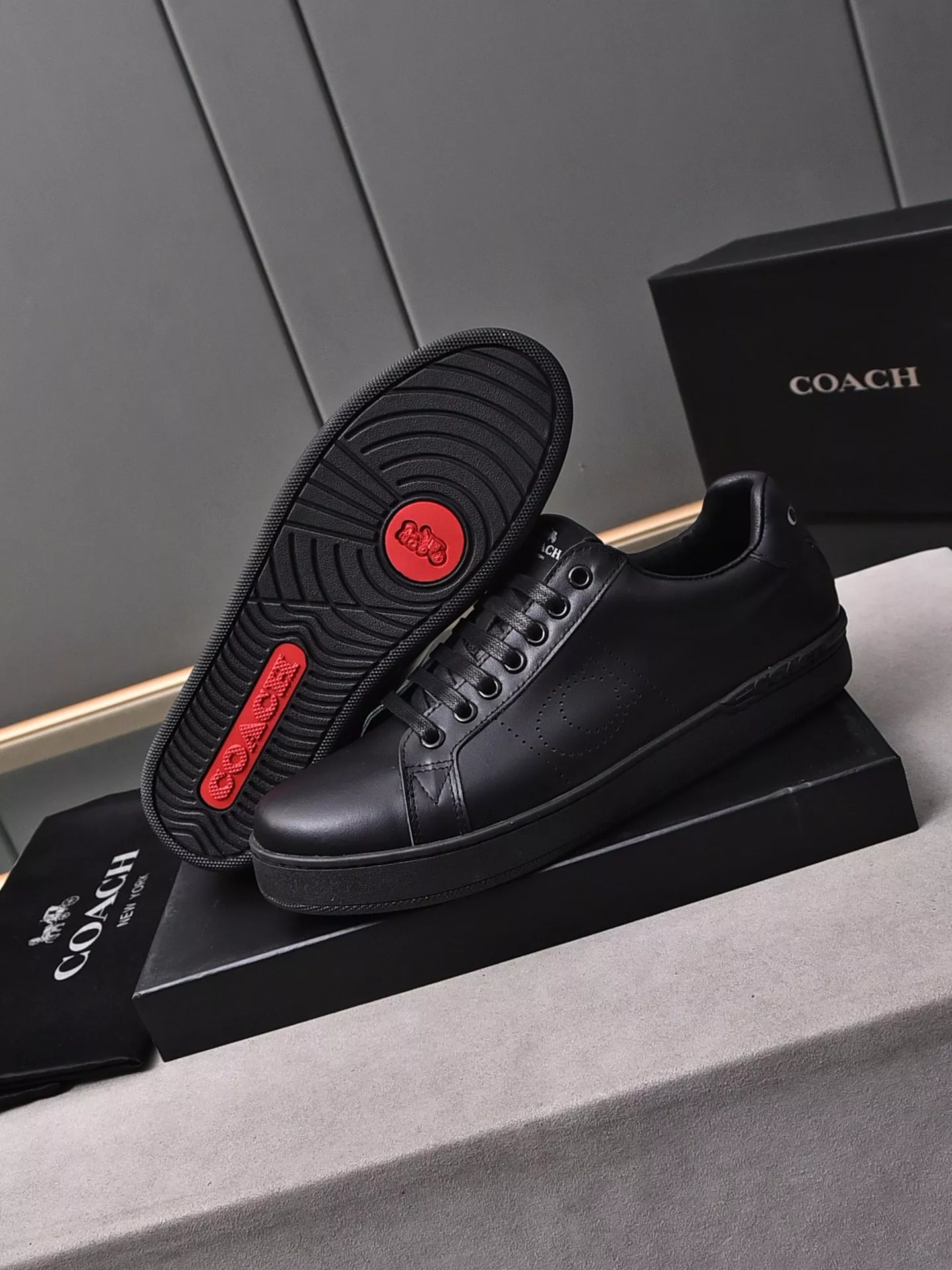 Functional 3627 Coach Fashion Shoes For Men