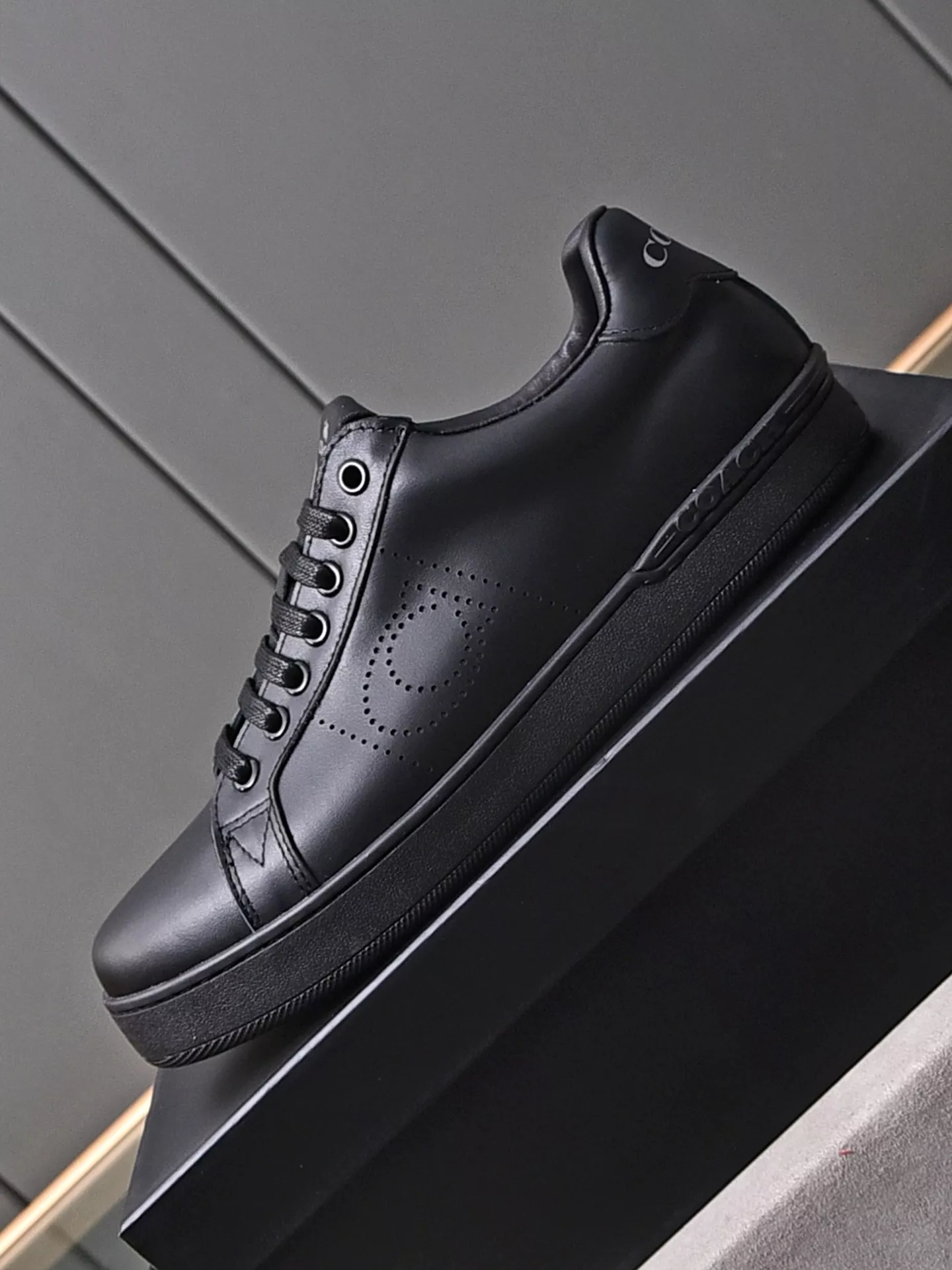 Functional 3627 Coach Fashion Shoes For Men