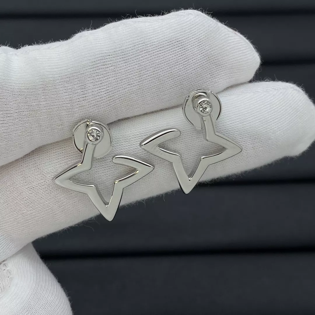 Functional 5580 Louis Vuitton Earrings For Women