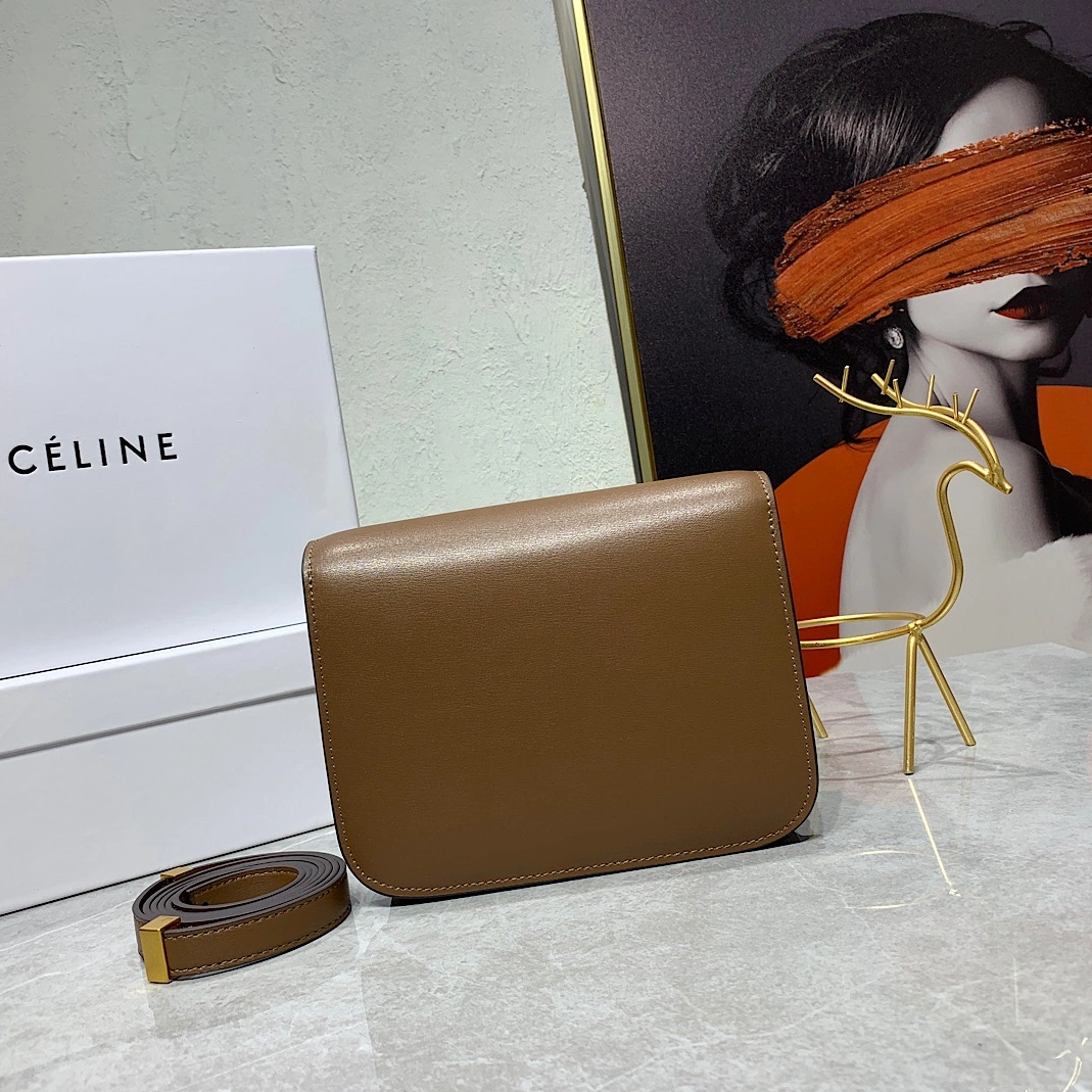 Functional 8334 Celine AAA Quality Messenger Bags For Women