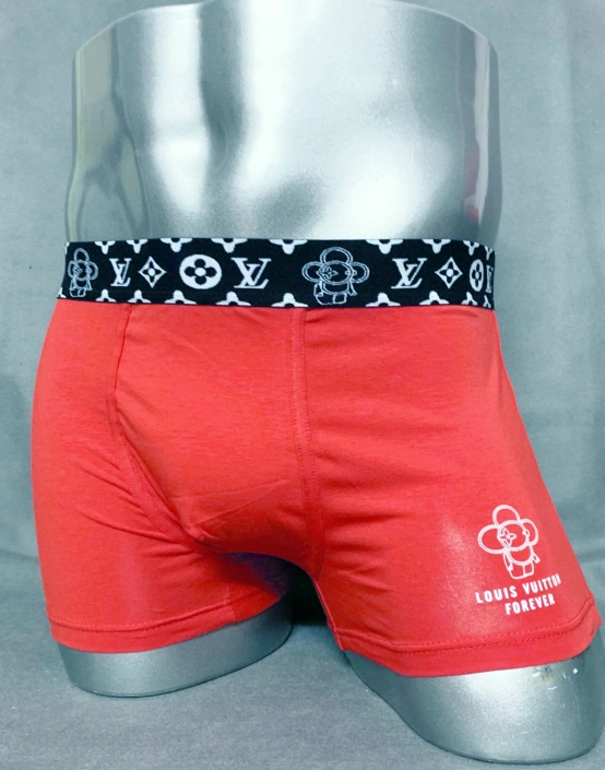 Functional 8435 Louis Vuitton LV Underwears For Men