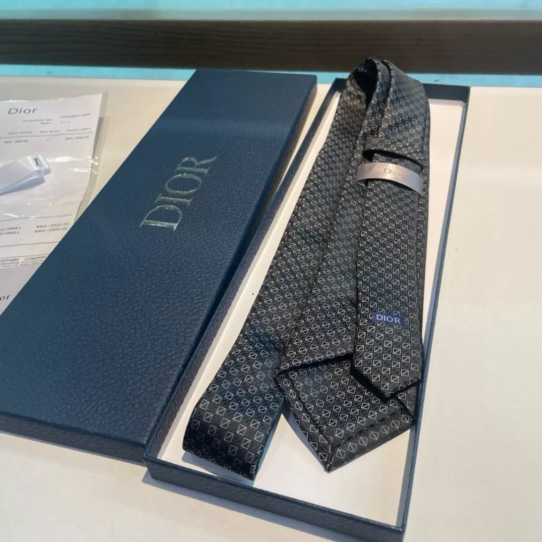 Functional 8915 Christian Dior Necktie