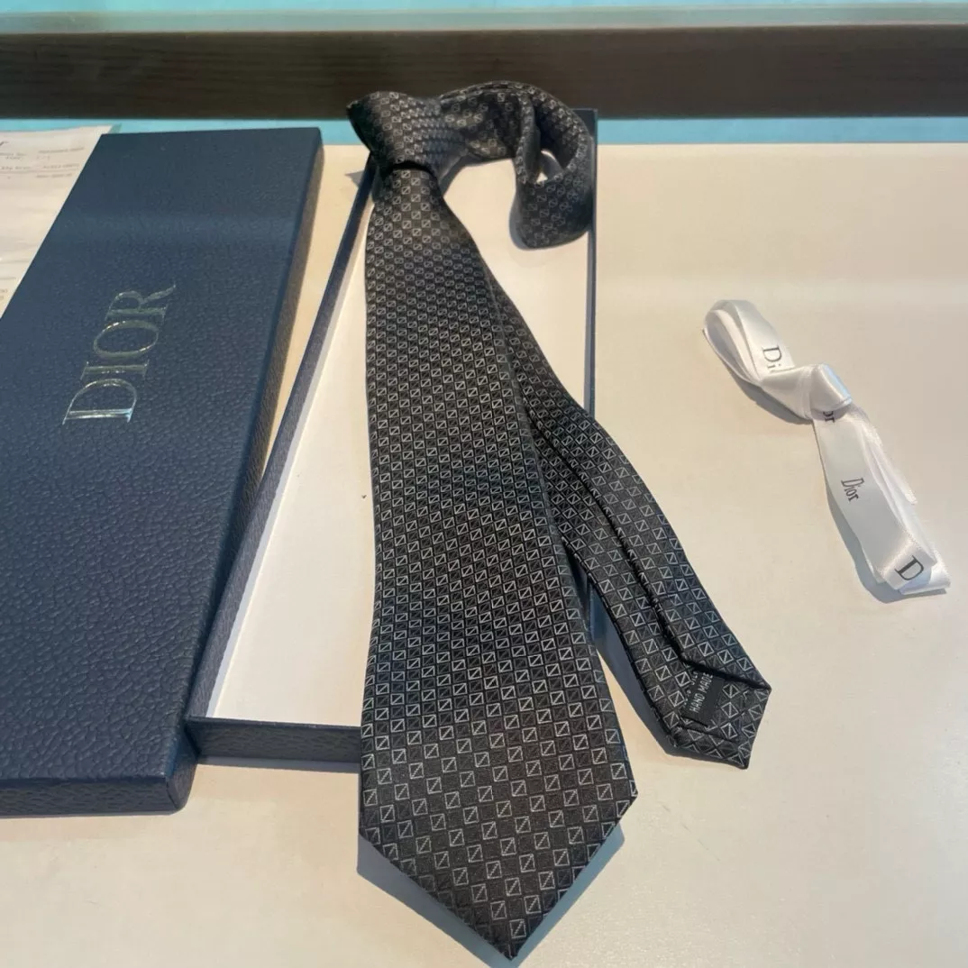 Functional 8915 Christian Dior Necktie