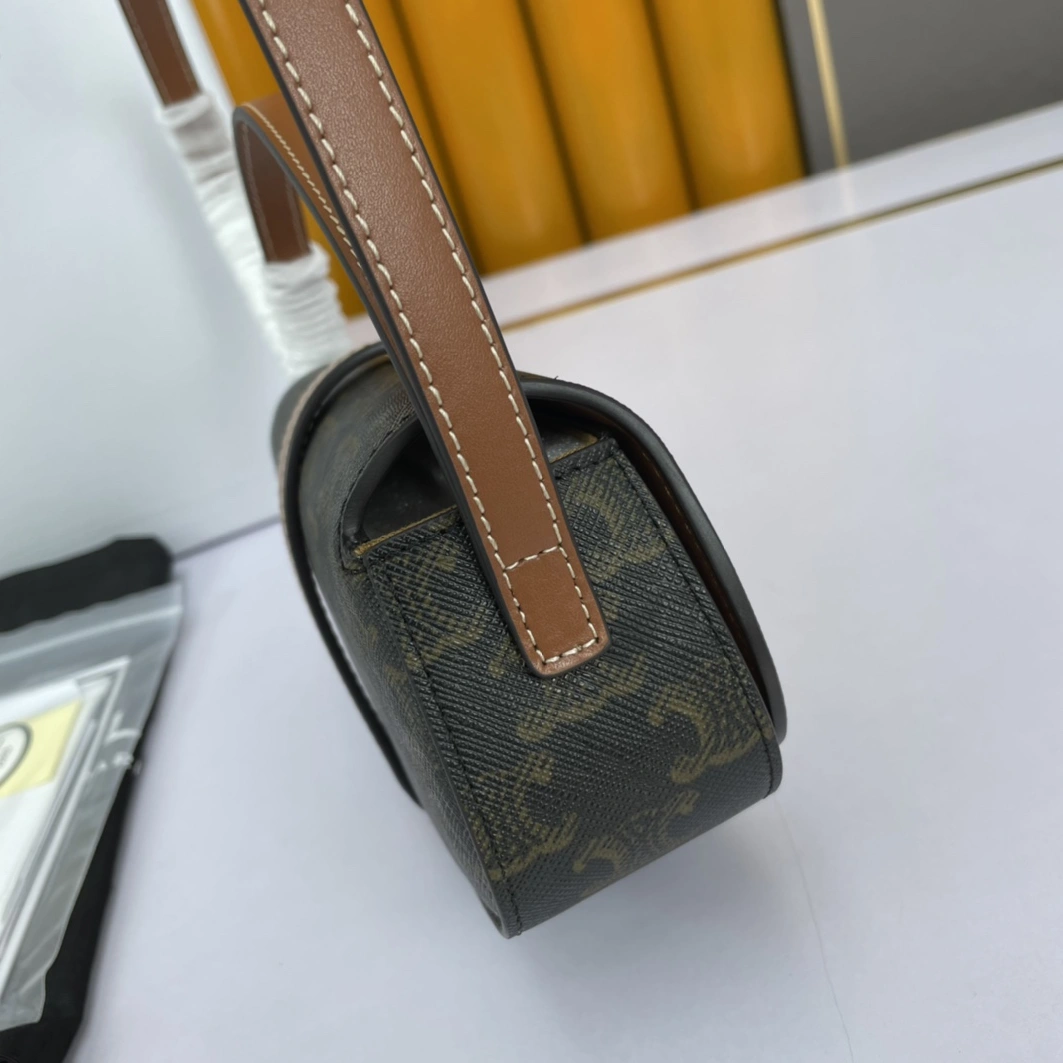 GoAnywhere 116 Celine AAA Quality Messenger Bags For Women
