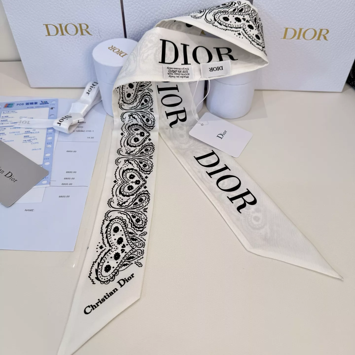GoAnywhere 1597 Christian Dior Silk Scarf