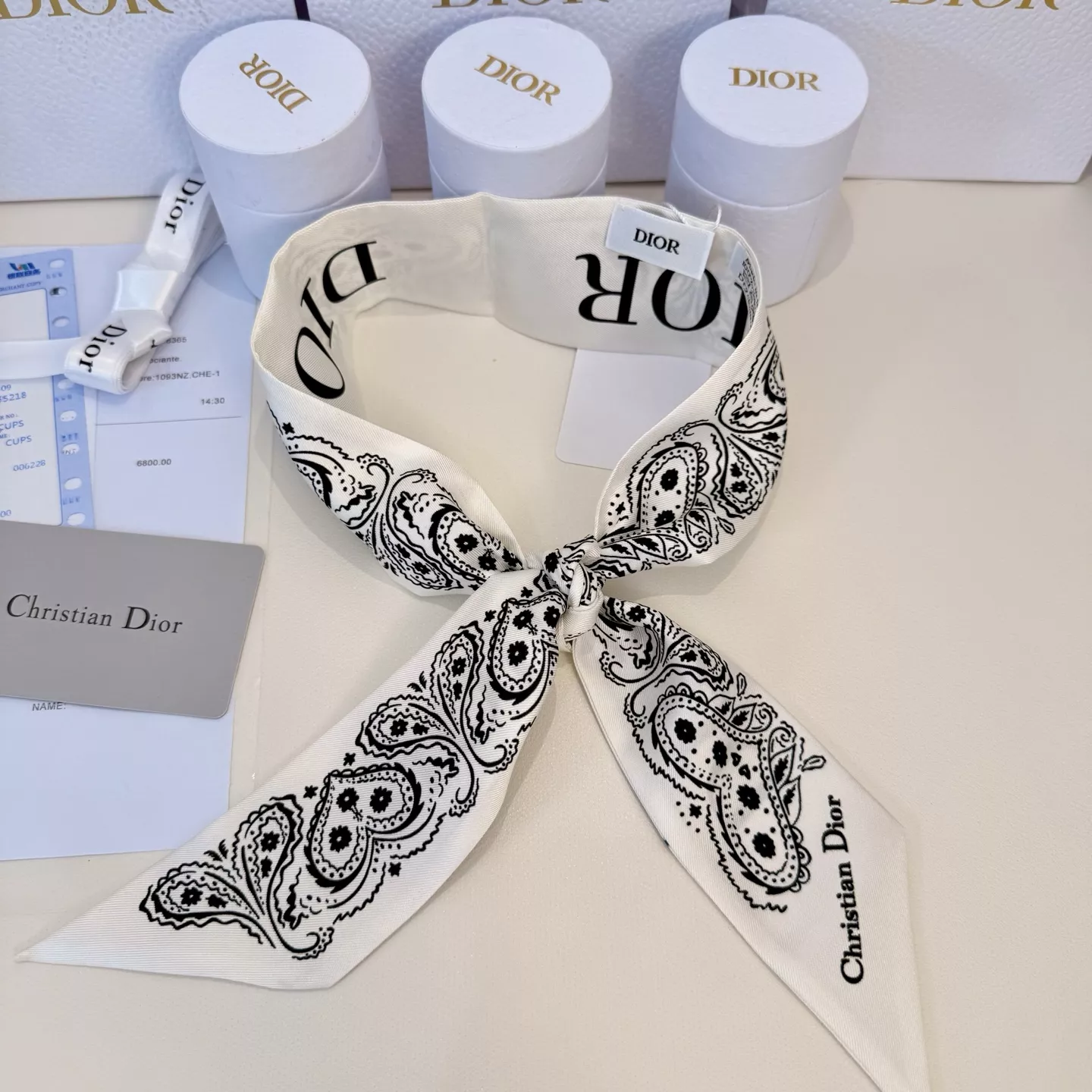 GoAnywhere 1597 Christian Dior Silk Scarf