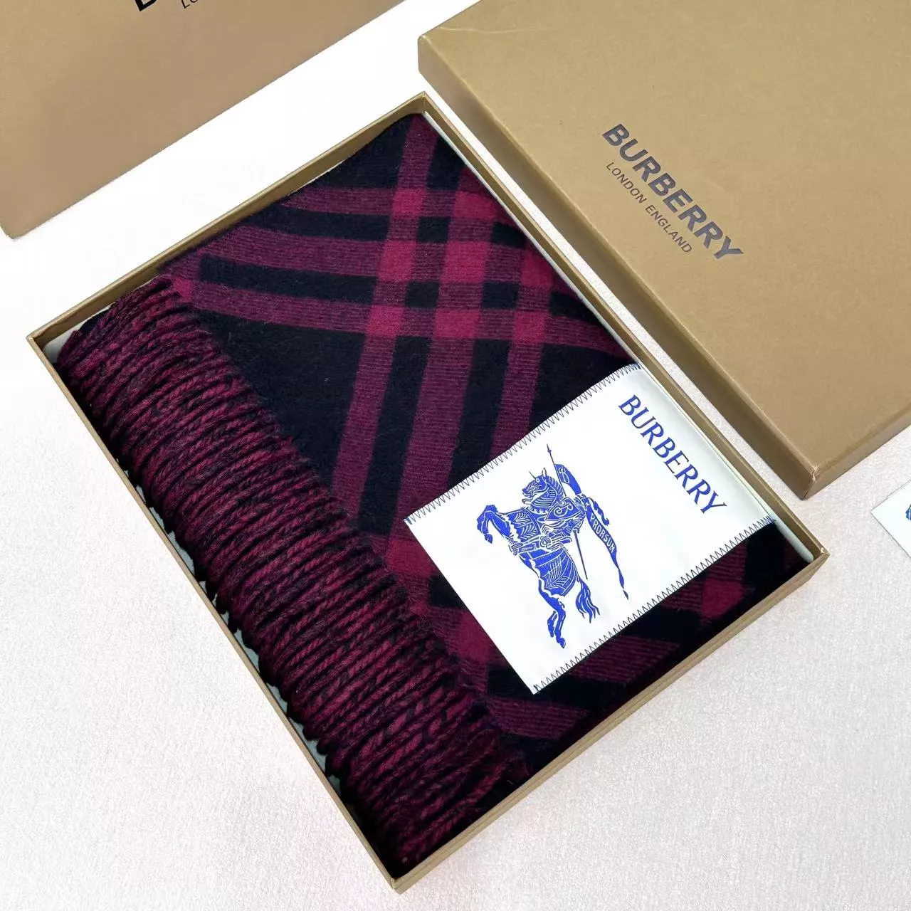 GoAnywhere 1749 Burberry Scarf