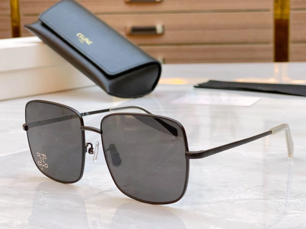 GoAnywhere 1865 Celine AAA Quality Sunglasses