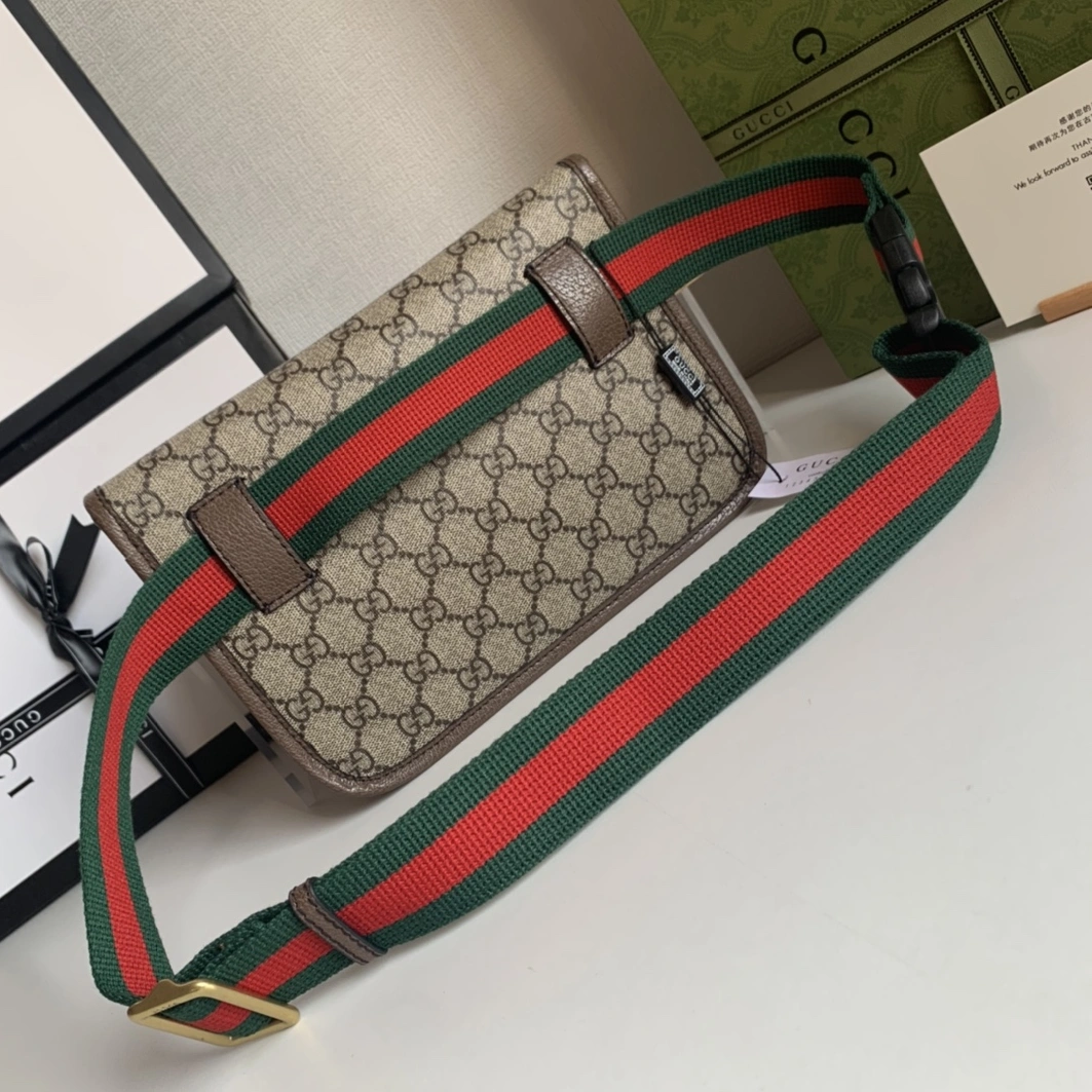 GoAnywhere 2249 Gucci AAA Quality Belt Bags