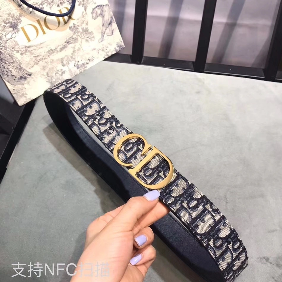 GoAnywhere 234 Christian Dior AAA Quality Belts