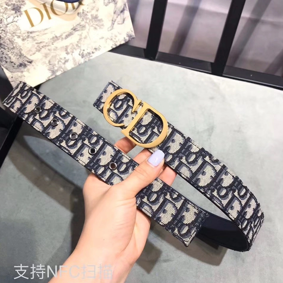 GoAnywhere 234 Christian Dior AAA Quality Belts