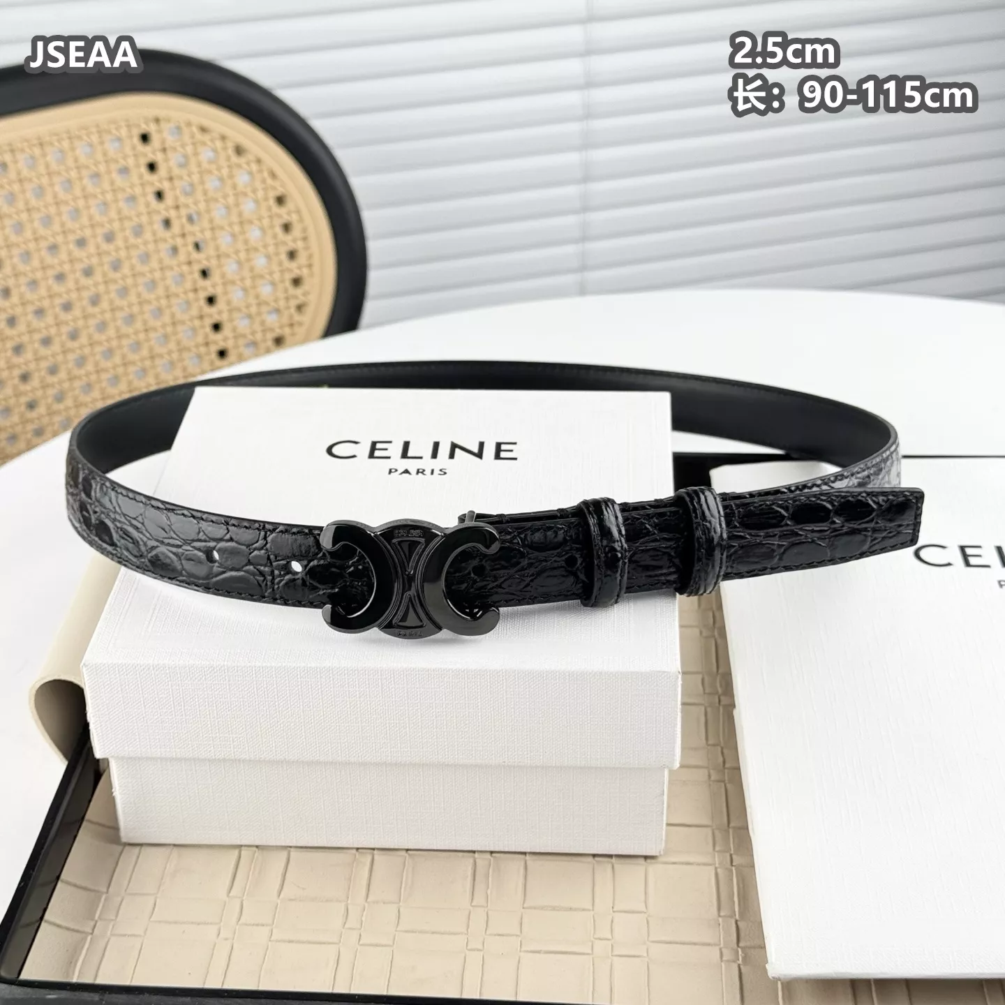 GoAnywhere 2380 Celine AAA Quality Belts For Women