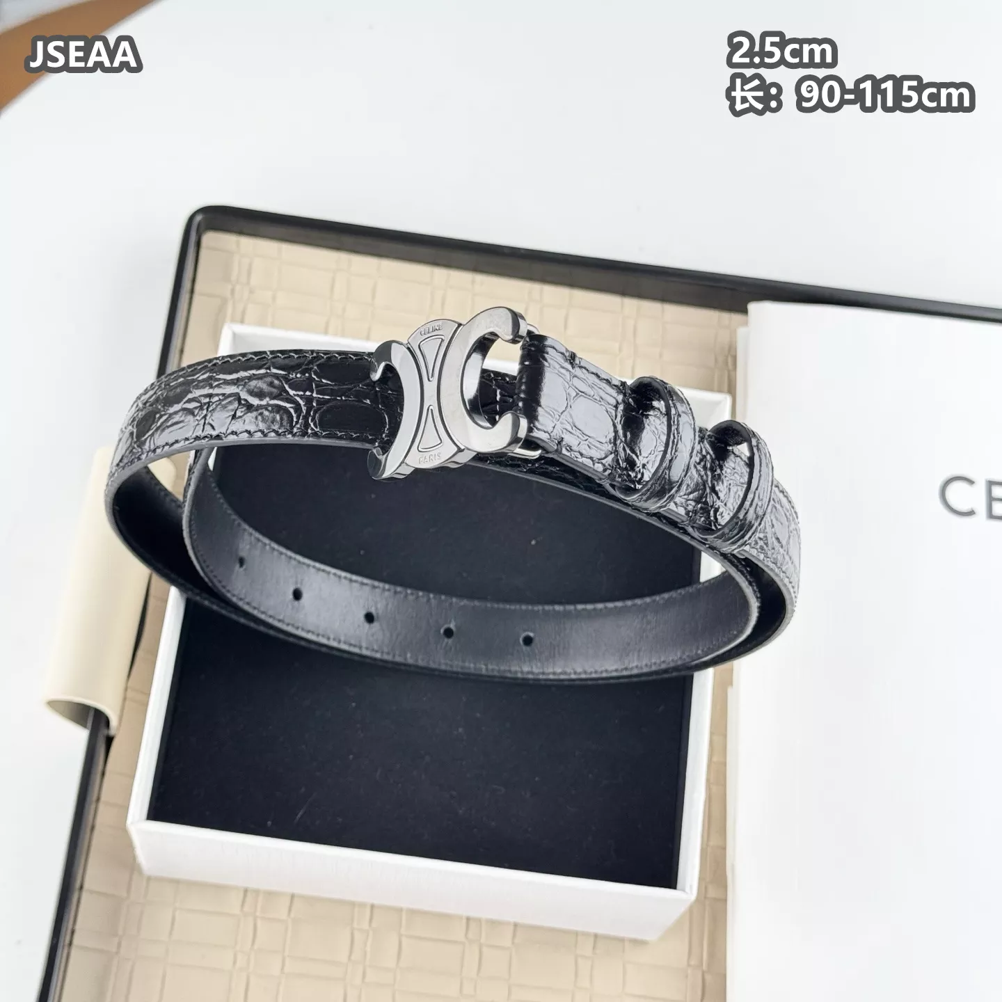 GoAnywhere 2380 Celine AAA Quality Belts For Women