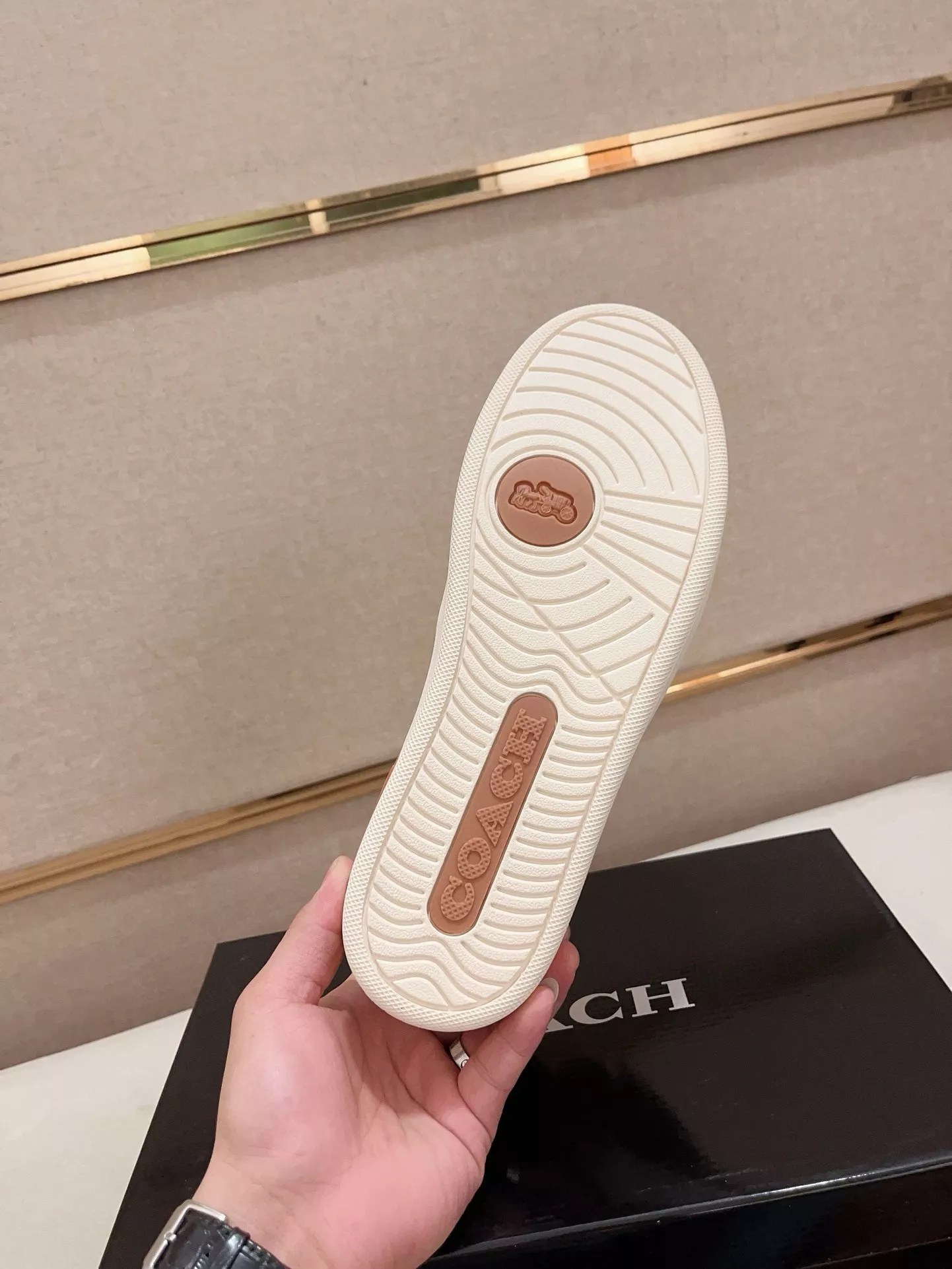 GoAnywhere 269 Coach Fashion Shoes For Men