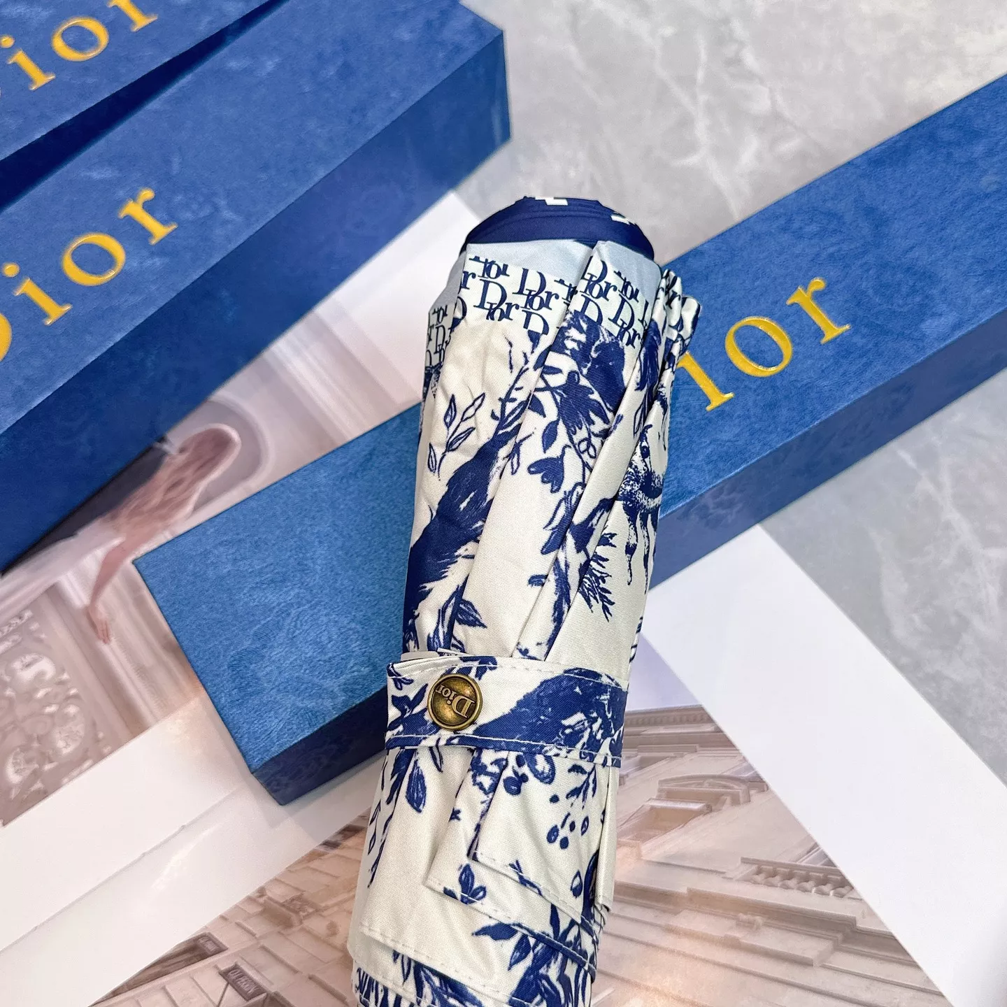 GoAnywhere 417 Christian Dior Umbrellas