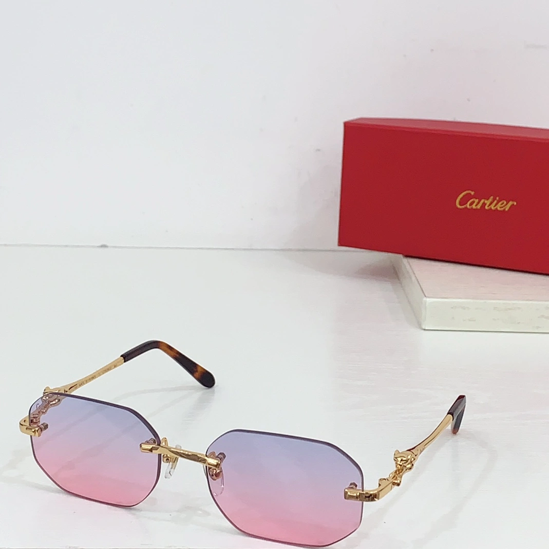 GoAnywhere 4194 Cartier AAA Quality Sunglassess