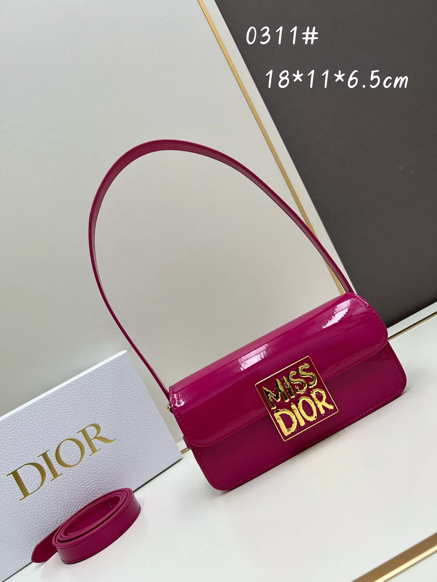 GoAnywhere 4313 Christian Dior AAA Quality Shoulder Bags For Women