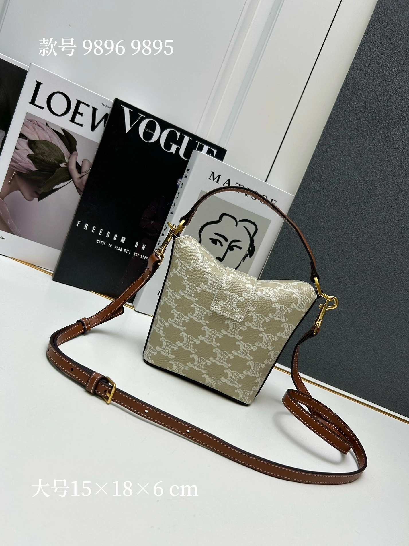 GoAnywhere 4785 Celine AAA Quality Messenger Bags For Women