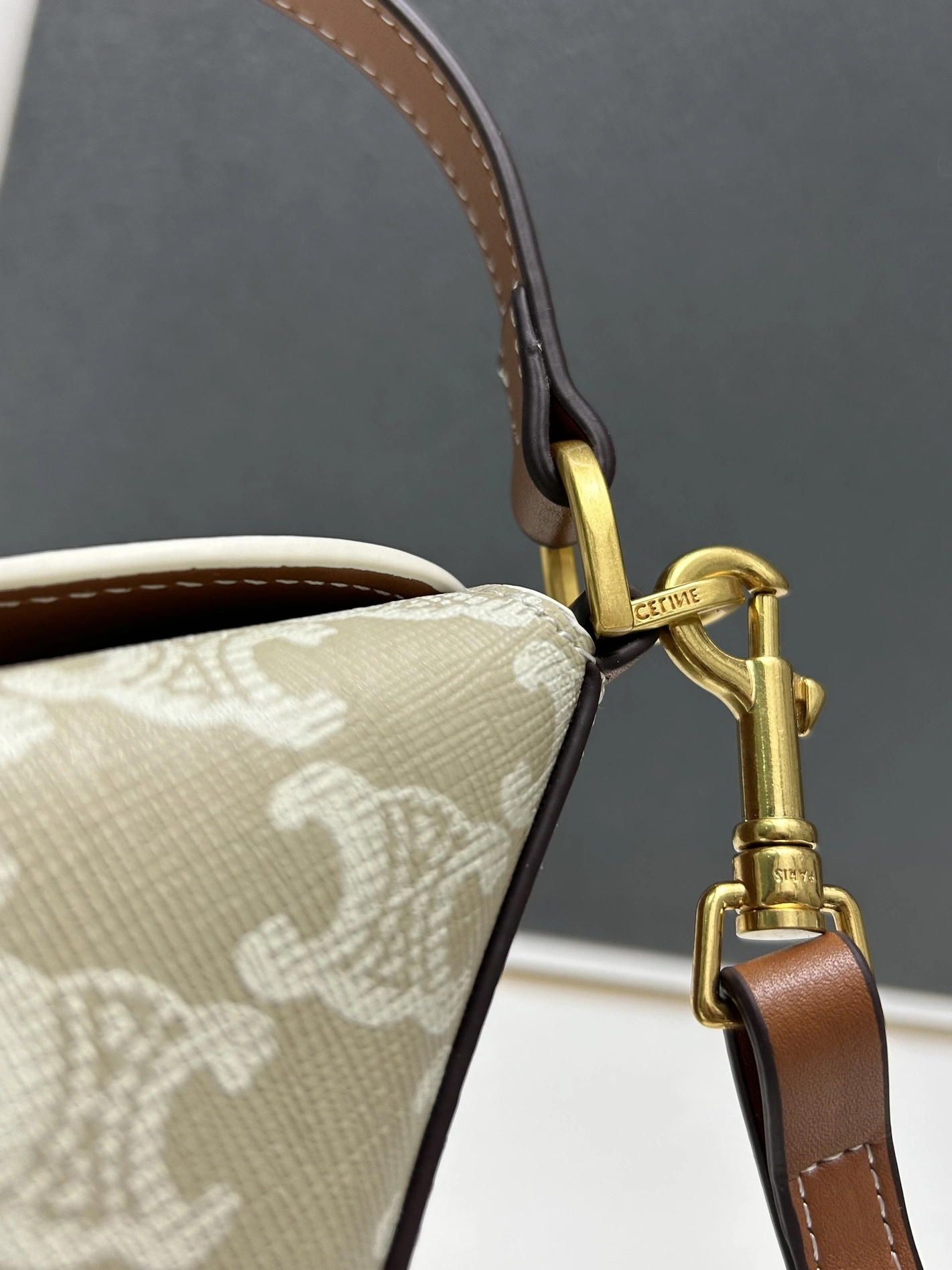 GoAnywhere 4785 Celine AAA Quality Messenger Bags For Women