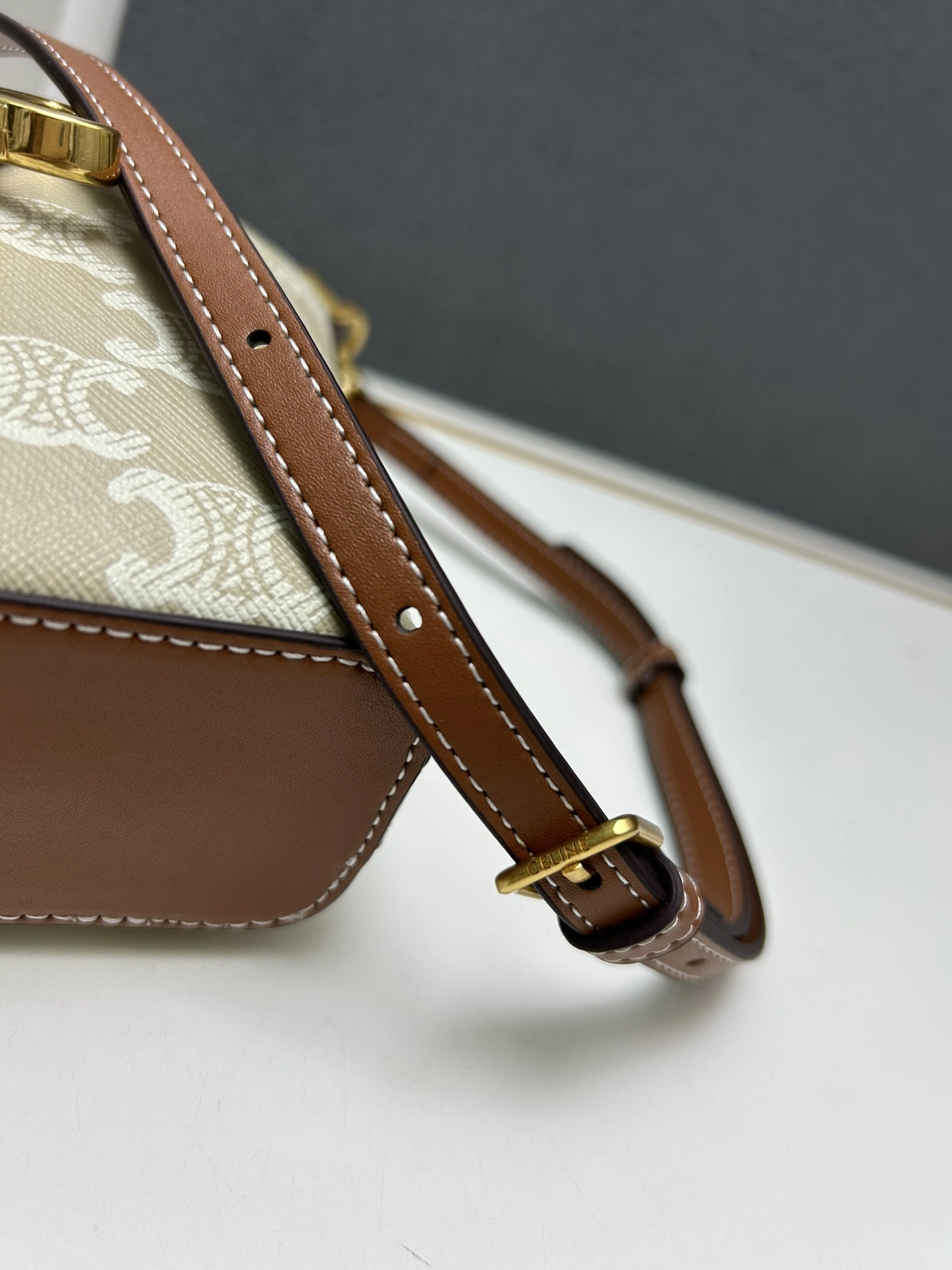 GoAnywhere 4785 Celine AAA Quality Messenger Bags For Women