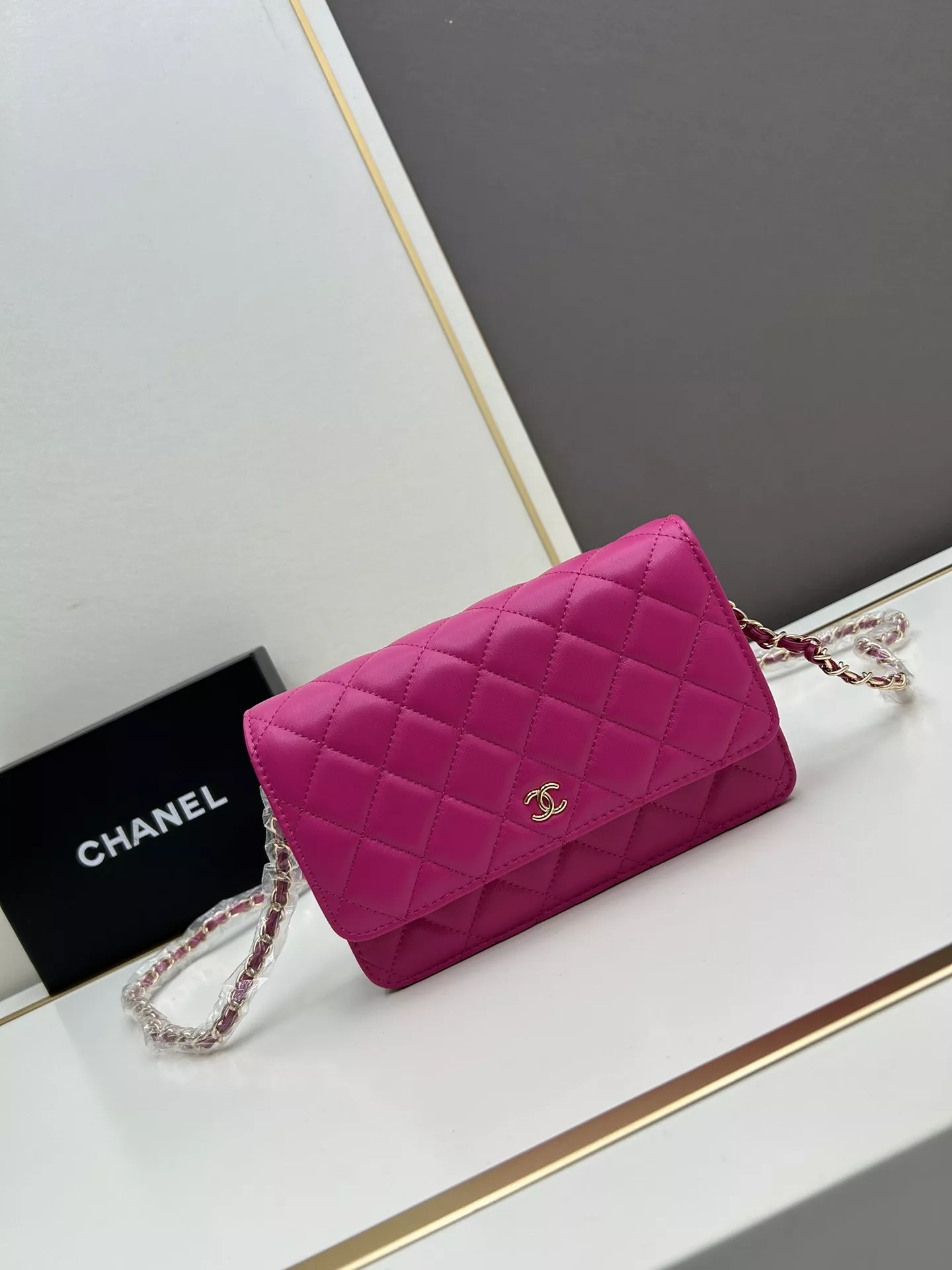 GoAnywhere 5025 Chanel AAA Quality Messenger Bags For Women