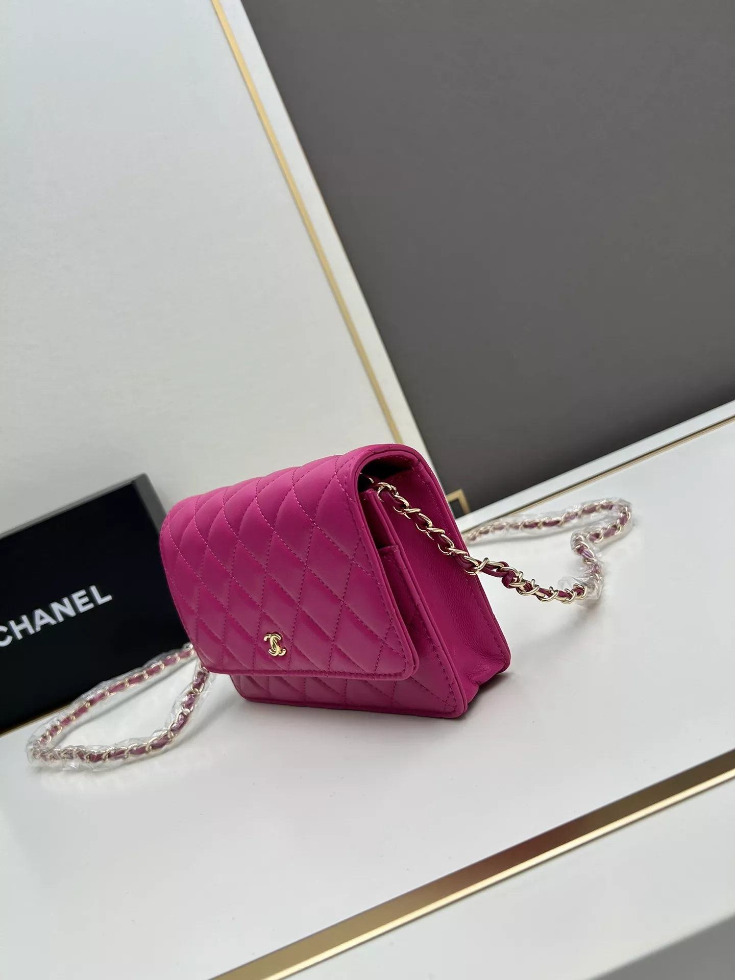 GoAnywhere 5025 Chanel AAA Quality Messenger Bags For Women