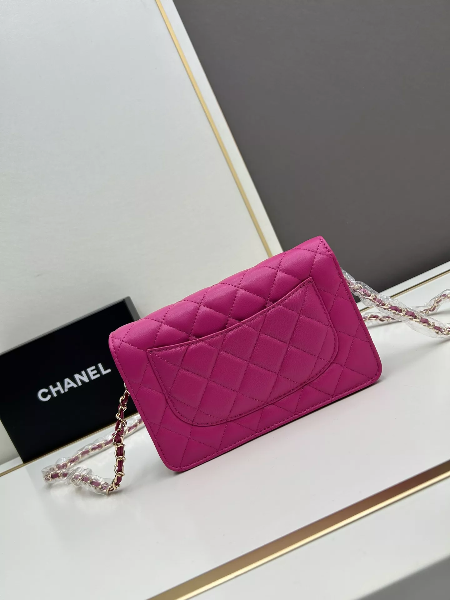 GoAnywhere 5025 Chanel AAA Quality Messenger Bags For Women