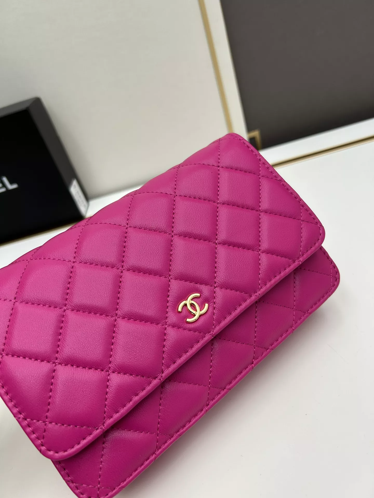 GoAnywhere 5025 Chanel AAA Quality Messenger Bags For Women