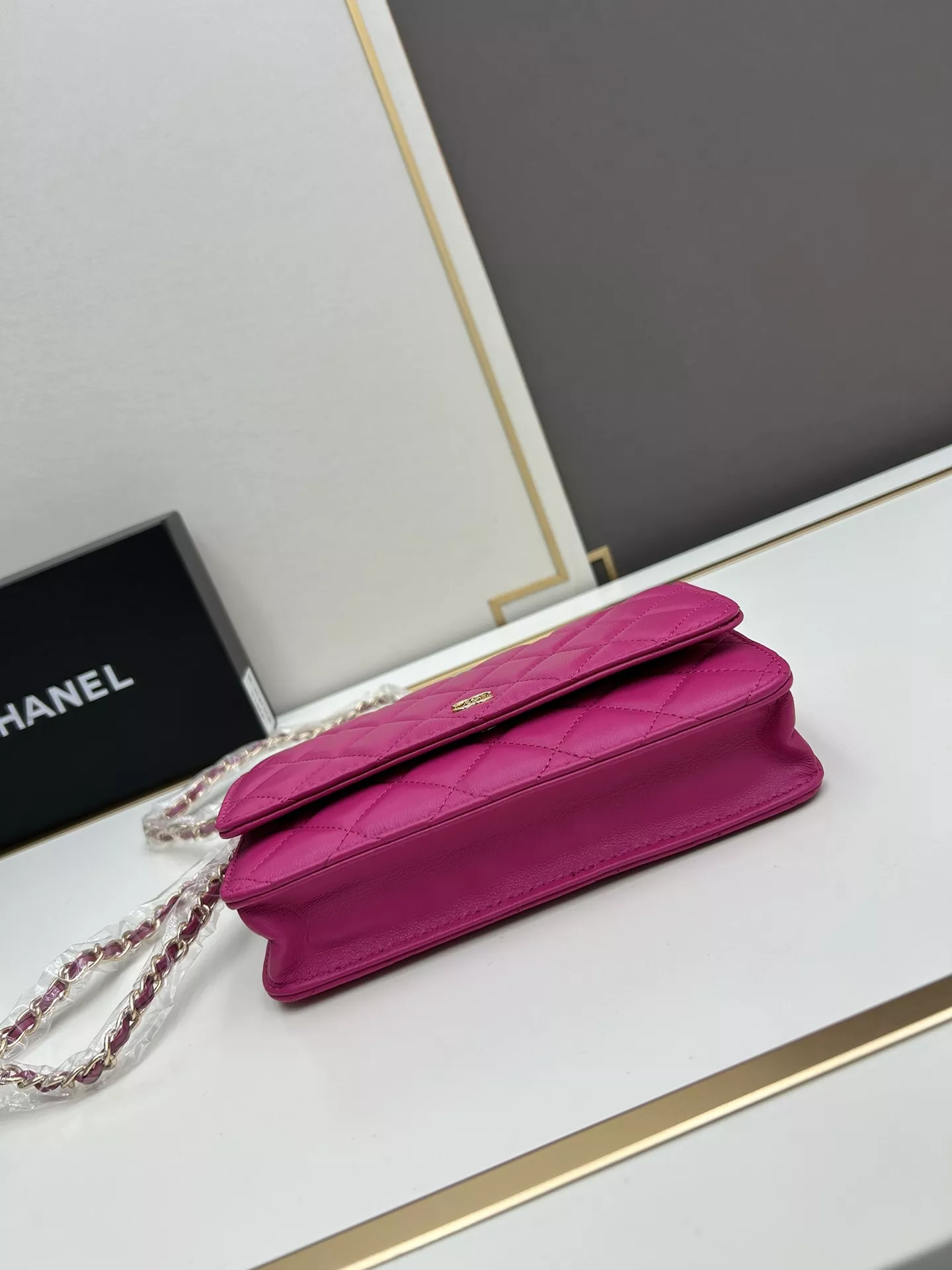 GoAnywhere 5025 Chanel AAA Quality Messenger Bags For Women