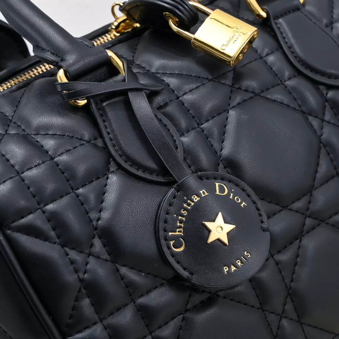 GoAnywhere 5231 Christian Dior AAA Quality Handbags For Women