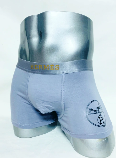 GoAnywhere 531 Hermes Underwears For Men