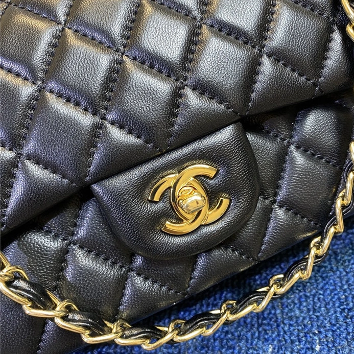 GoAnywhere 5595 Chanel AAA Messenger Bags For Women