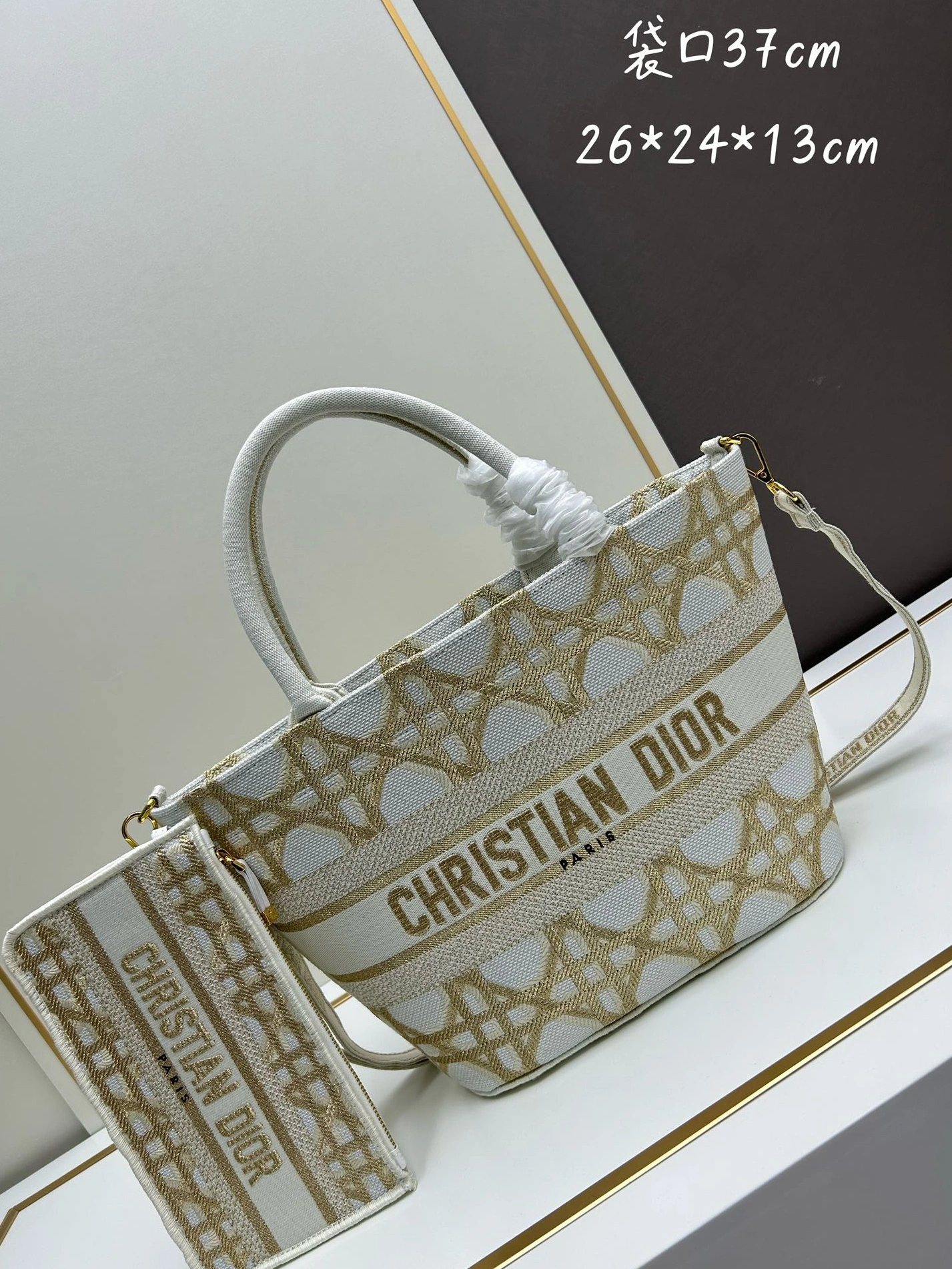 GoAnywhere 6003 Christian Dior AAA Quality Handbags For Women