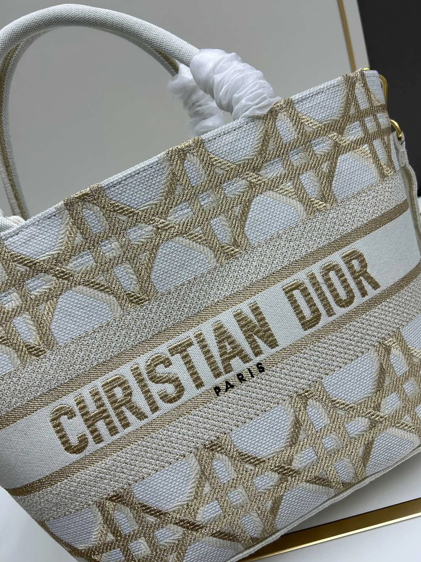 GoAnywhere 6003 Christian Dior AAA Quality Handbags For Women