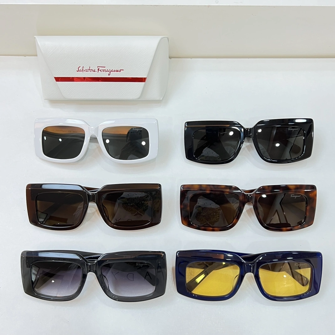 GoAnywhere 6044 Salvatore Ferragamo AAA Quality Sunglasses