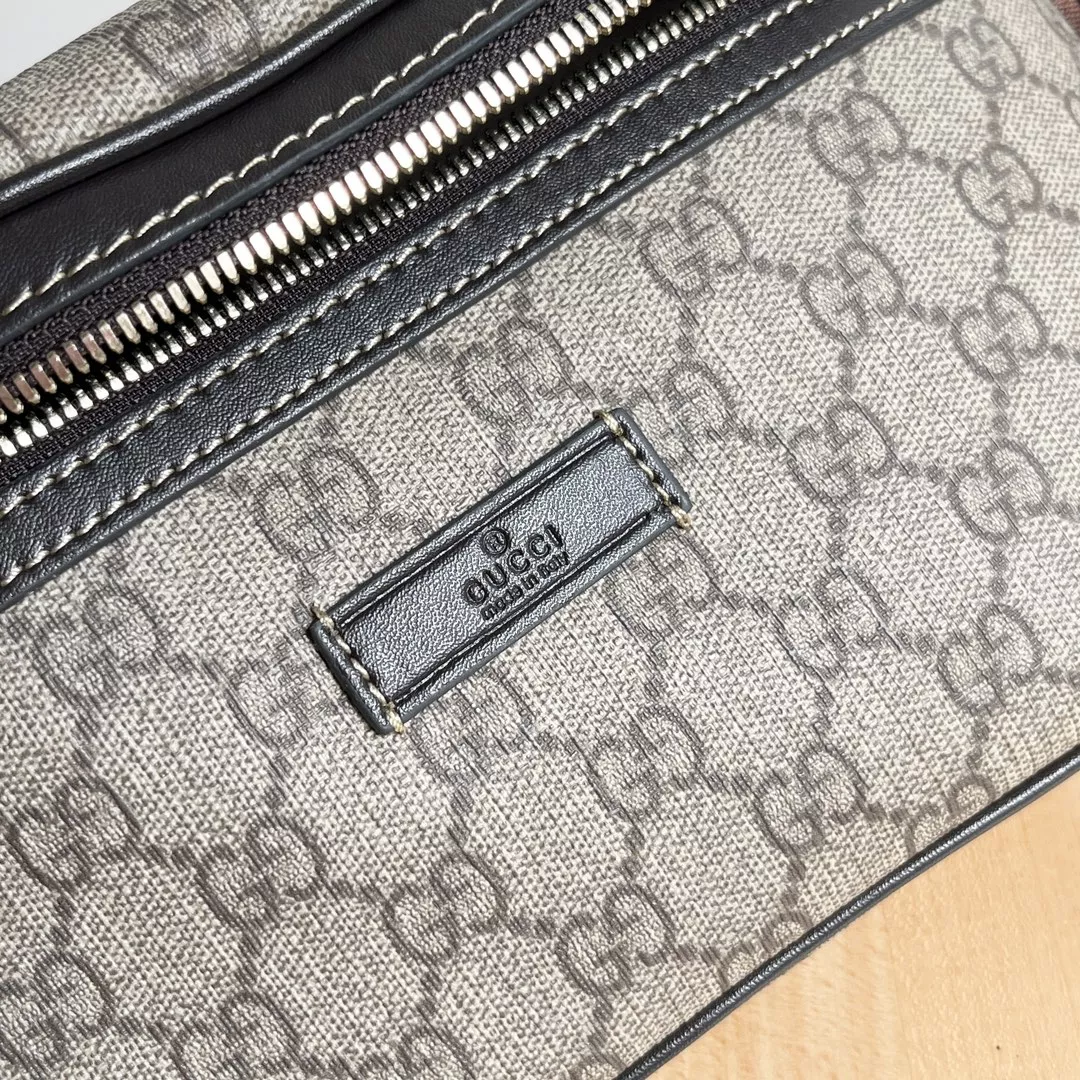 GoAnywhere 6436 Gucci AAA Quality Belt Bags