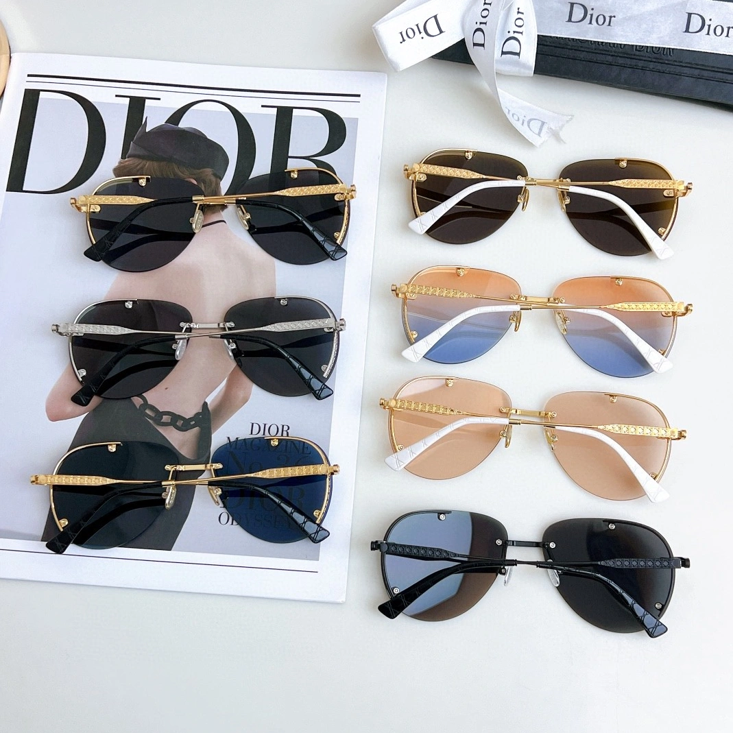 GoAnywhere 6954 Christian Dior AAA Quality Sunglasses