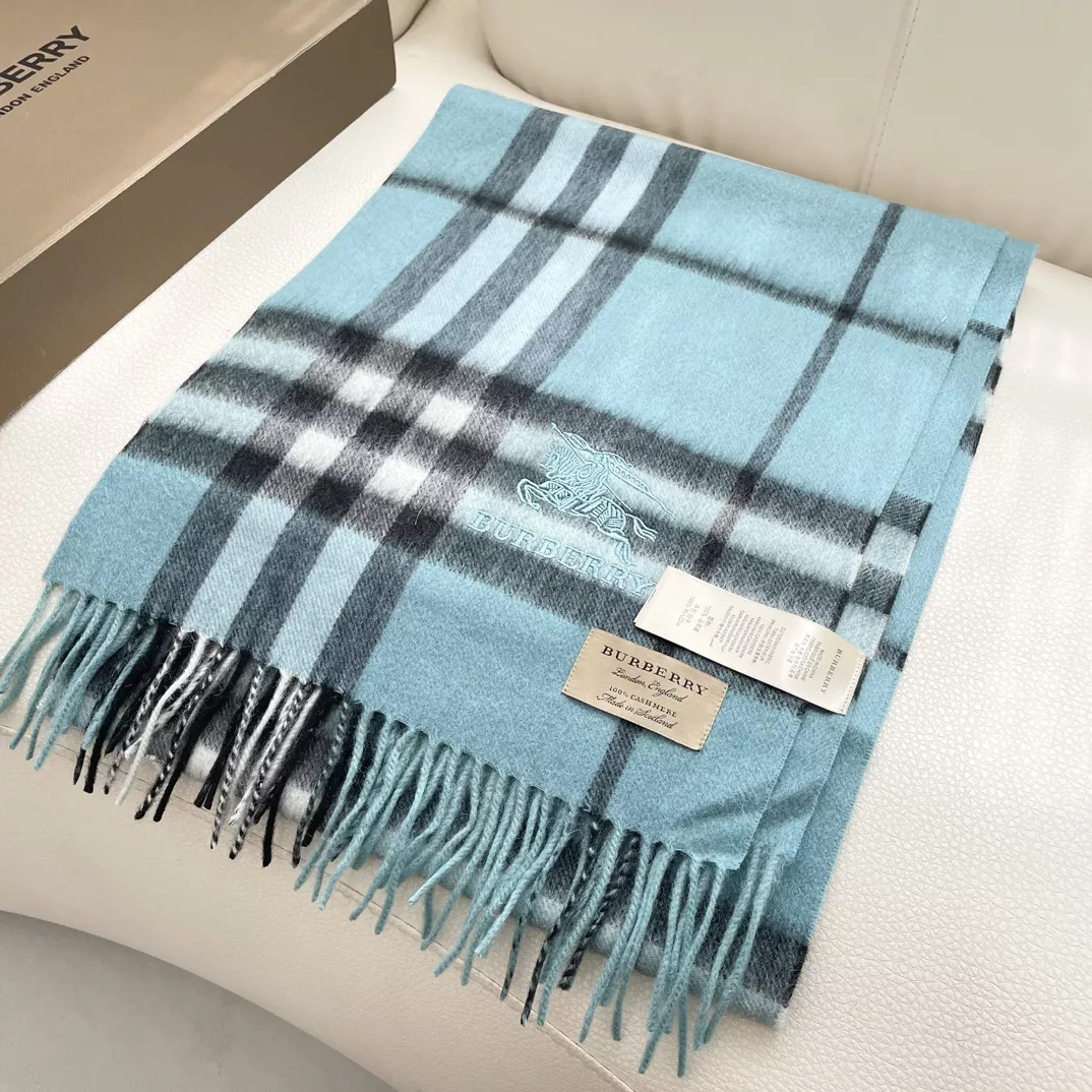 GoAnywhere 7229 Burberry Scarf For Women