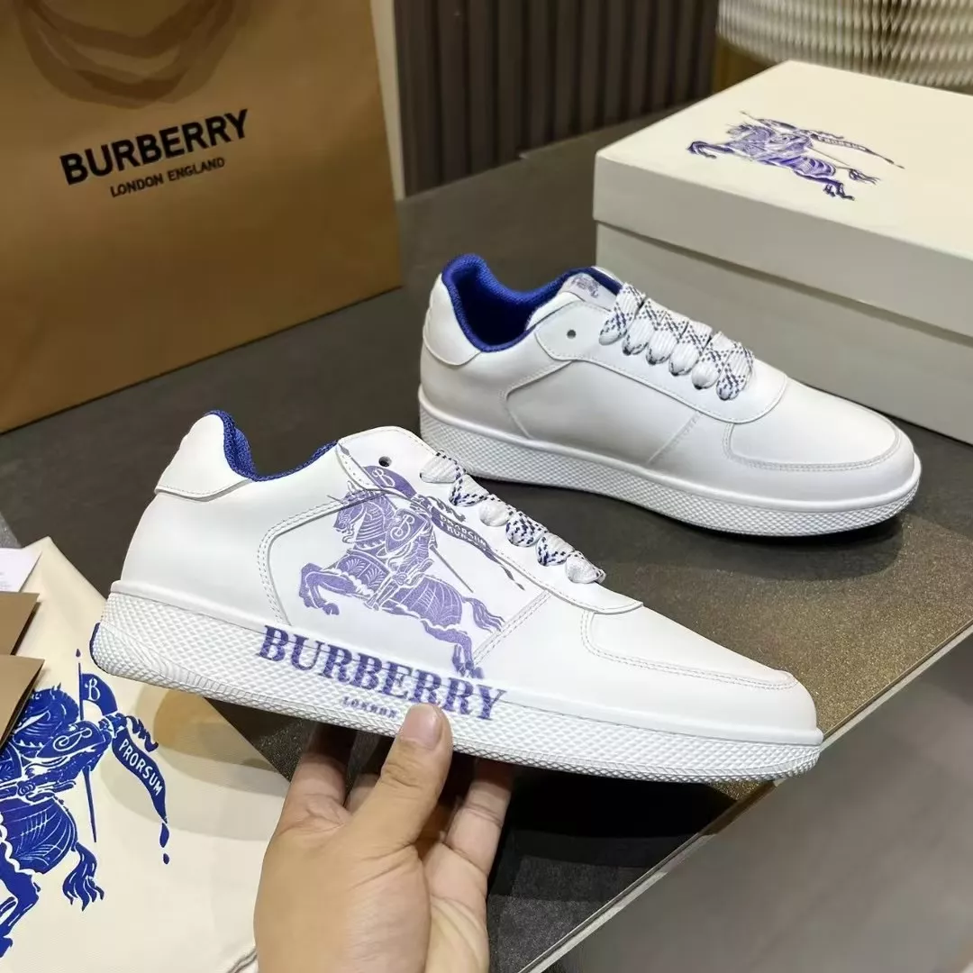 GoAnywhere 7625 Burberry Casual Shoes For Men