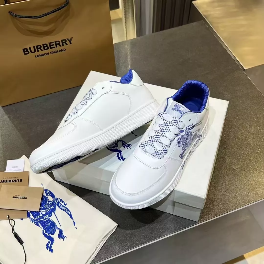 GoAnywhere 7625 Burberry Casual Shoes For Men