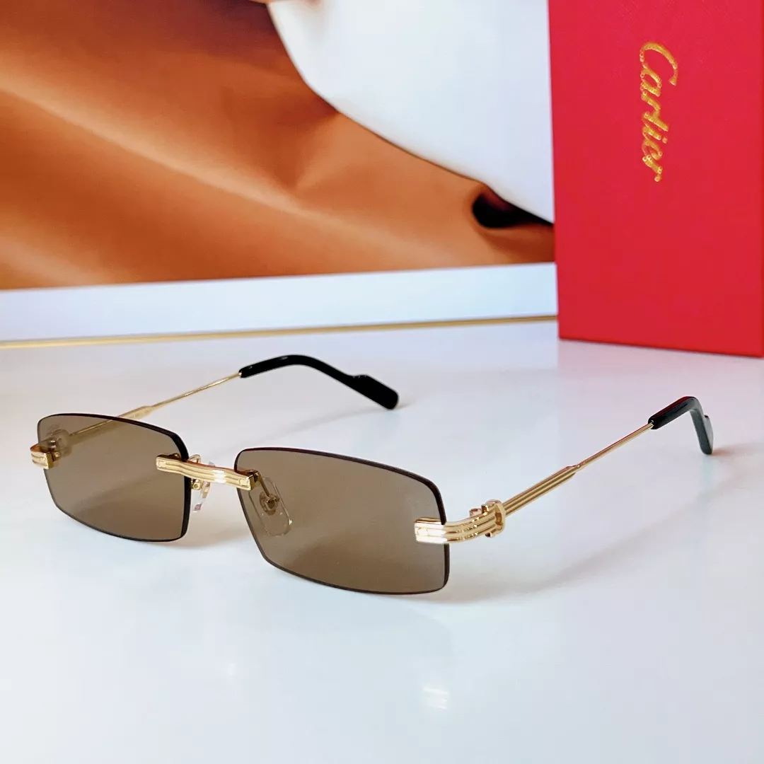 GoAnywhere 803 Cartier AAA Quality Sunglassess