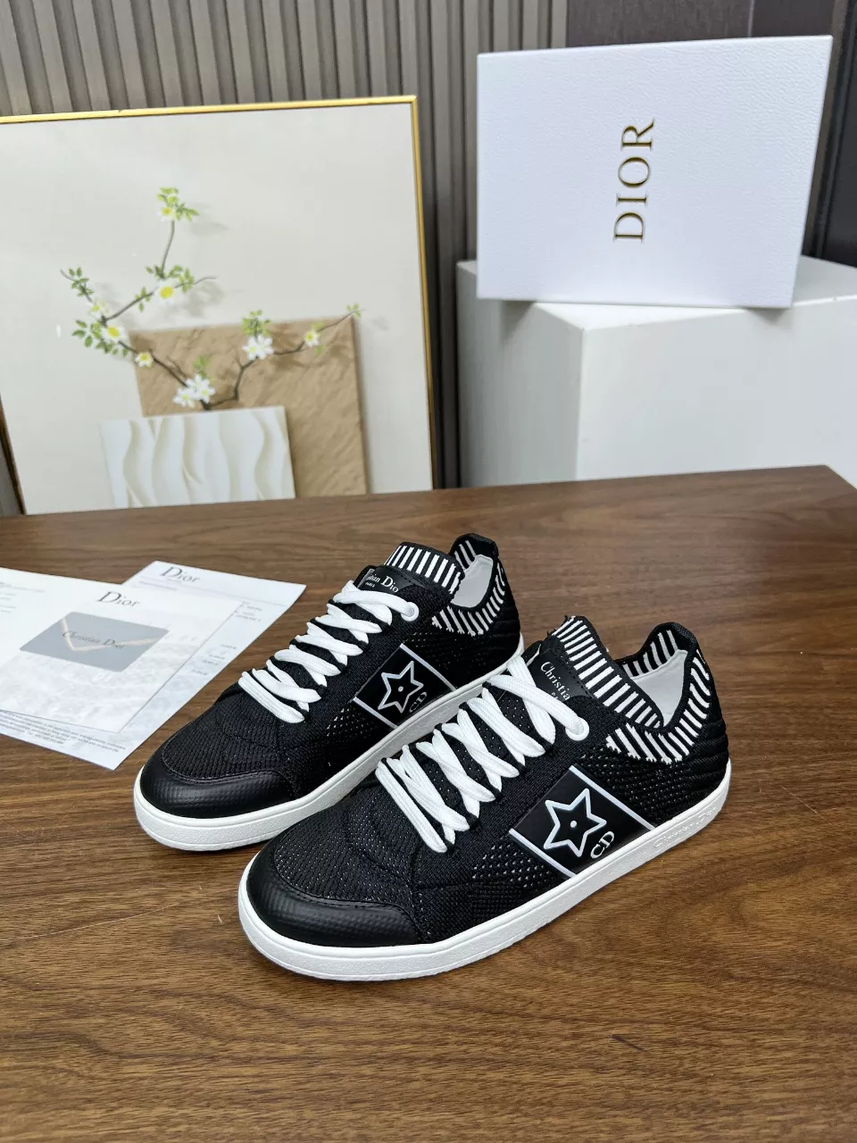 GoAnywhere 8237 Christian Dior Casual Shoes For Women