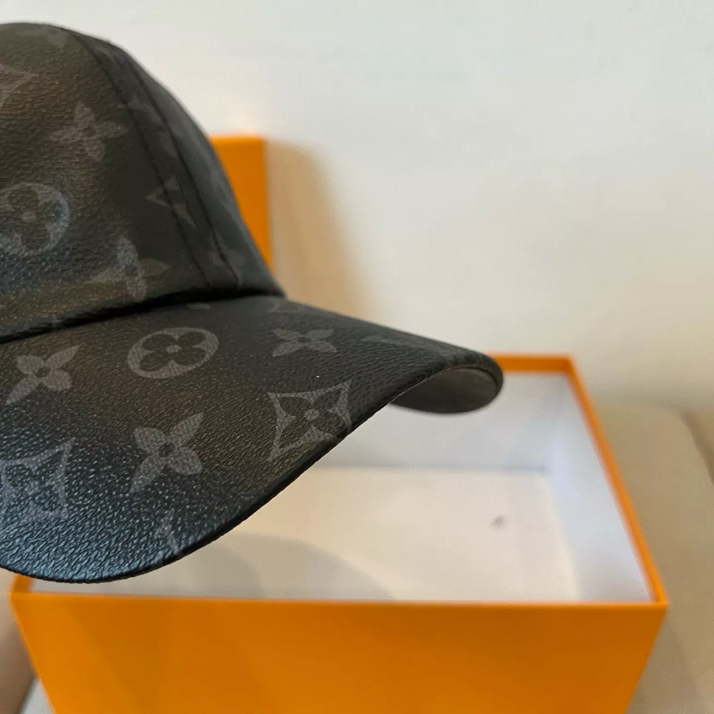 GoAnywhere 8239 Louis Vuitton LV Caps