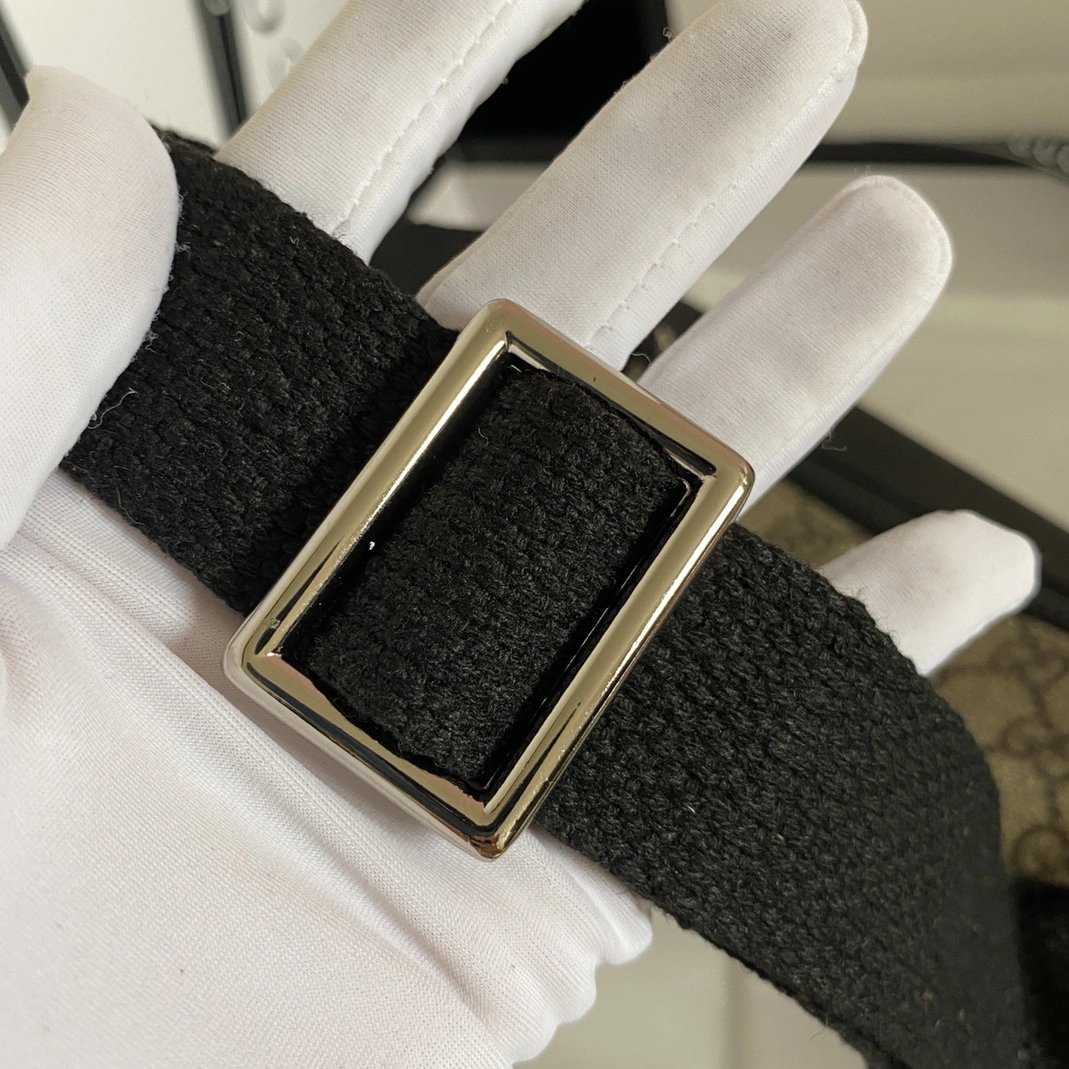 GoAnywhere 8299 Gucci AAA Quality Belt Bags